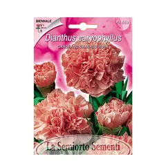 Семена гвоздики Carnation PINK