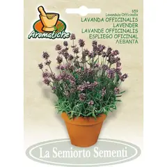 Семена Лаванда Lavender OFFICINALIS 659-MAXIAr