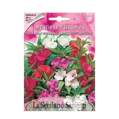 Balsamina seeds Balsamina A FIORE DOPPIO MIX FI510-MAXIFlor