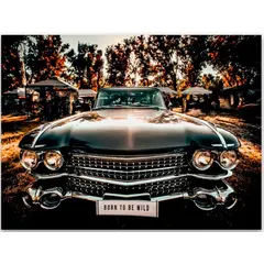 Picture on canvas Styler Born ST614 85X113 cm
