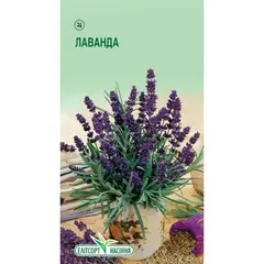 Lavender seeds ELITSORT 1 g