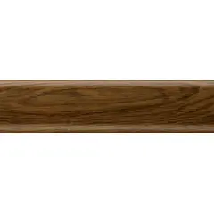 Плинтус Salag NGF56 oak bagienny 56х2500