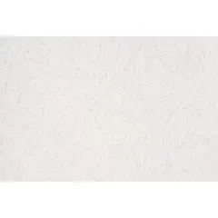 Wallpaper paintable Vilia 1061-11 1.06x25 m