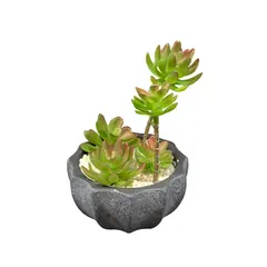 Flower in a pot decorative SH-11749