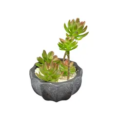 Flower in a pot decorative SH-11749