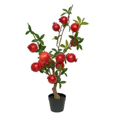 Decorative pomegranate tree in a pot