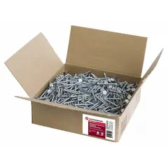 ლურსმანი მოთუთიებული Technonicol Shinglas 30x3.5 მმ 5 კგ