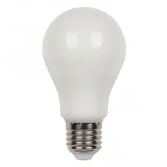 შუქდიოდური ნათურა NEWPORT A60 6400K 12W E27