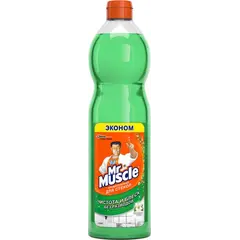 Средство для мытья стекол и других поверхностей SC Johnson Mr.Muscle 500 мл