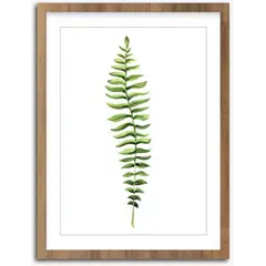 სურათი ჩარჩოში Styler Wooden Fern FR278 30X40 სმ