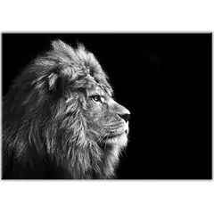 სურათი შუშაზე Styler Lion GL104 70X100 სმ