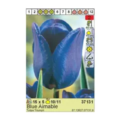 ბოლქვოვანი HBM BES Tulipa Bleu Amaible (x5)