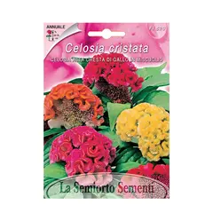 ქათმისქოჩორას თესლი Celosia ALTA CRESTA DI GALLO IN MIX FI520-MAXIFLOR