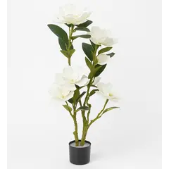 დეკორატიული ყვავილის ხე SH-11768