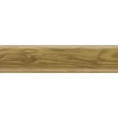 Plinth Salag NGF oak winny 56х2500 mm