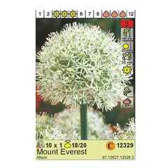 ბოლქვოვანი HBM STA  Allium Mount Everest (x1)