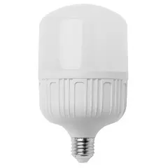 ნათურა New Light T100-30W E27 4000K