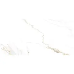 Porcelain tiles HALKON CERAMICAS S.A. 60X120 P NAOS GOLD PUL R PRI.