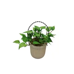 ხელოვნური მცენარე 0451-30