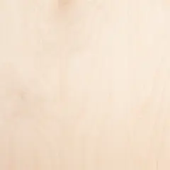 ფანერი PLYTERA IV/IV 4x1525x1525