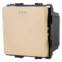 Switch Socket Style Reverse 1 1G-2W gold