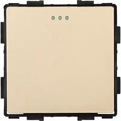 Switch Socket Style 1 1G-2W gold