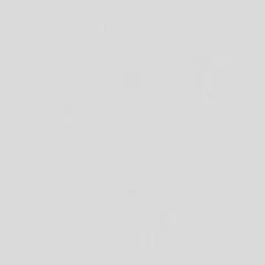 ვინილის შპალერი Sintra 600603 1.06x10.5 მ