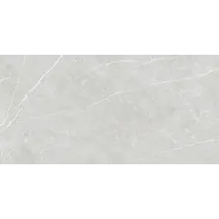 კერამოგრანიტი Tau Ceramica Elite Silver 600x1200 მმ
