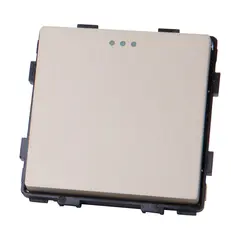 Switch Socket Style Cross 1 1G-3W gold