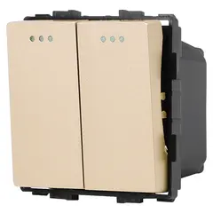 Switch Socket Style Reverse 2 2G-2W gold