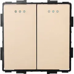 Switch Socket Style 2 2G-2W gold