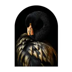 Picture on glass Styler GS005 BLACK ARCHED 70X100 cm