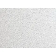 Wallpaper paintable Lanita С-83 1.06x25 m