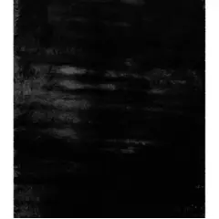 Carpet DCcarpets Heaven 90770 black 200x290 cm