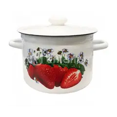 Enameled pot 1612/2 3 l