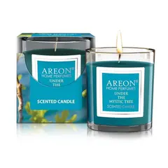 Ароматическая свеча мистическое дерево AREON 120 гр 03988