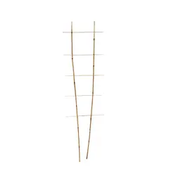 საყრდენი ბამბუკის 150 სმ