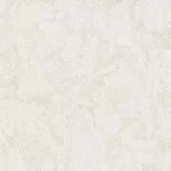 შპალერი AS CREATION 38810-4 1.06X10 მ