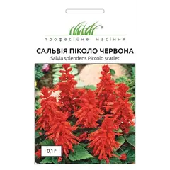 ხარისვარდას თესლი ELITSORT პიკკოლო წითელი 0.1 გრ