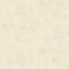 შპალერი AS CREATION 37489-2 1.06X10