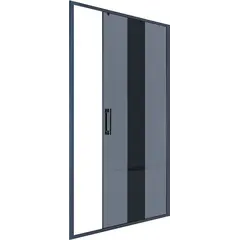 Душевая дверь раздвижная TM IVA D6B120T 120×200 см