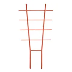 კიბე ყვავილების Aleana 37 სმ