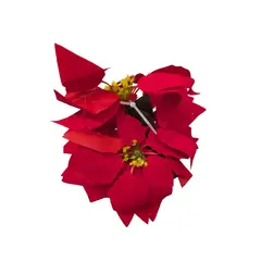 მორთულობა საახალწლო პუანსეტია 202404GU323 45 სმ