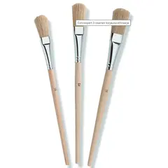 უნივერსალური ფუნჯების ნაკრები Color Expert 82610227 3 ც