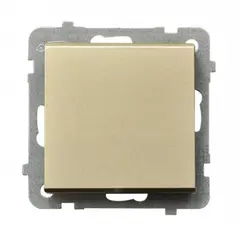 ჩამრთველი ჩარჩოს გარეშე Ospel ŁP-1RS/m/39