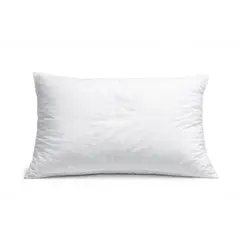 Pillow Milani 50x70cm B7806