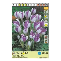 ბოლქვოვანი HBM STA Crocus Vanguard (x10)