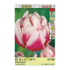 ბოლქვოვანი HBM BES Tulipa Horizon (x5)
