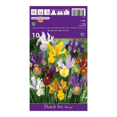 ბოლქვოვანი HBM BEST BUY CAPPERLINE BES Dutch Iris Mixed (x10)