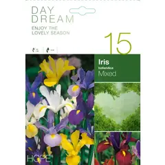 ბოლქვოვანი HBM DAY Iris Hollandica Mixed (x15)